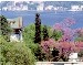 Tamamını okuyun